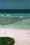 coconutcourtbeach9.jpg (22609 Byte)