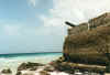 needhampoint4.jpg (36733 Byte)