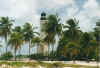 needhampoint5.jpg (49674 Byte)