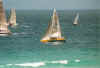 segeln.jpg (38433 Byte)
