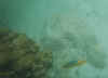 folkestone11.jpg (20520 Byte)