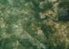 folkestone12.jpg (39284 Byte)