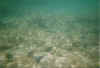 folkestone4.jpg (39935 Byte)