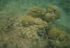 folkestone9.jpg (46421 Byte)