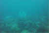 uboot2.jpg (14266 Byte)