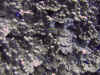 IMG_0559a.jpg (143654 Byte)