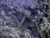 IMG_0562a.jpg (188952 Byte)