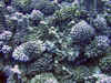 IMG_0563a.jpg (178767 Byte)