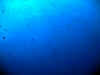 IMG_0608a.jpg (69510 Byte)