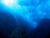 IMG_0617a.jpg (68084 Byte)