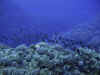 IMG_0619a.jpg (130758 Byte)