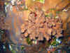 IMG_0629a.jpg (196179 Byte)