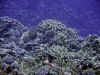 IMG_0660a.jpg (192989 Byte)