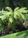 Resize of Rotation of IMG_2089.JPG (80521 Byte)