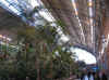 madridatocha.jpg (60941 Byte)