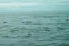 Im000694.jpg (43758 Byte)
