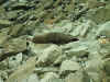 Im000743.jpg (66162 Byte)