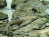 Im000746.jpg (77983 Byte)
