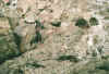 robben3.JPG (67503 Byte)
