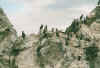 voegel.JPG (47345 Byte)