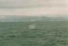 waleunten8.JPG (26362 Byte)