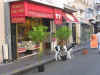 boucherie.jpg (53003 Byte)