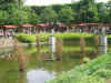 jardines.jpg (71544 Byte)