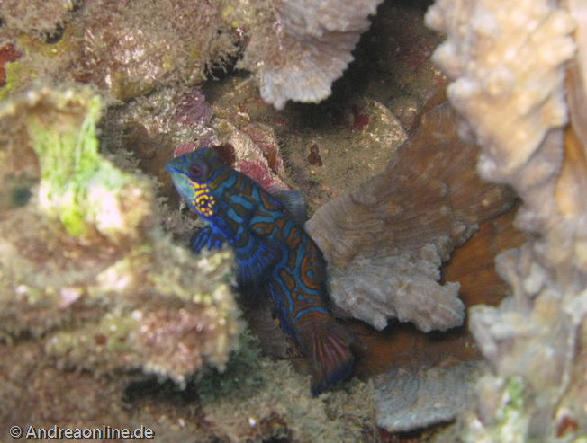 nil