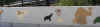 brueckengelaender.jpg (24180 Byte)