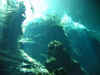 IMG_9515.JPG (113201 Byte)