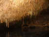 IMG_9547.JPG (122063 Byte)