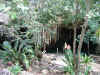 IMG_9707.JPG (200638 Byte)