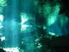 IMG_9745.JPG (108709 Byte)