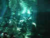 IMG_9756.JPG (125371 Byte)