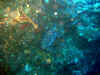 IMG_0193b.jpg (142969 Byte)