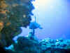 IMG_0194b.jpg (110750 Byte)