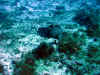IMG_0259a.jpg (192595 Byte)