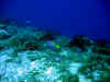 IMG_0265a.jpg (126835 Byte)