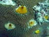 IMG_0393a.jpg (182662 Byte)