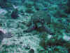 IMG_9574a.jpg (173816 Byte)