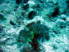 IMG_9578a.jpg (197710 Byte)