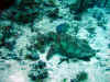 IMG_9610a.jpg (195530 Byte)