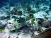 IMG_9627b.jpg (188640 Byte)