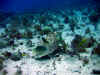 IMG_9628a.jpg (168041 Byte)