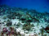 IMG_9630b.jpg (158772 Byte)