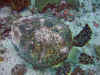 IMG_9631a.jpg (179708 Byte)