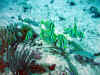 IMG_9640a.jpg (199550 Byte)