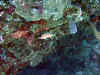 IMG_9644a.jpg (179875 Byte)