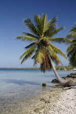 IMG_5004.jpg (128113 Byte)
