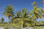 IMG_5017.jpg (164823 Byte)